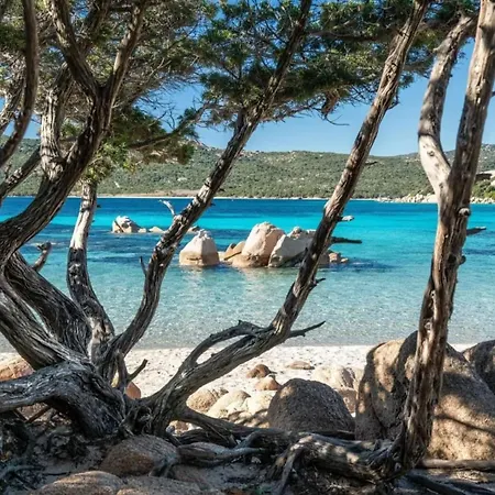 Διαμέρισμα Stellasmeralda