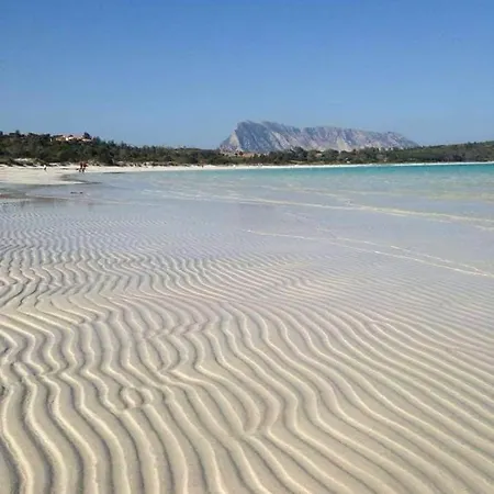 Stellasmeralda Apartament