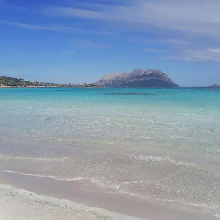 Stellasmeralda * Sole Ruiu