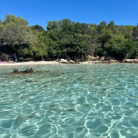 Stellasmeralda Apartament