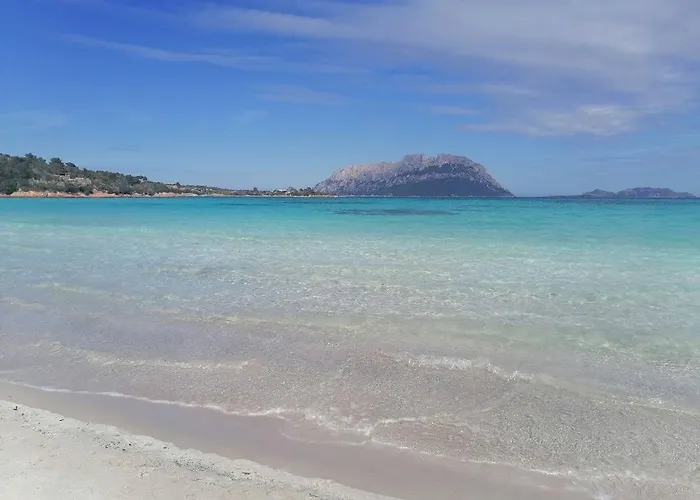 Stellasmeralda * Sole Ruiu