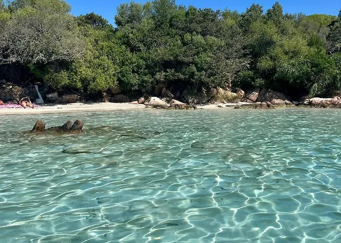 Stellasmeralda Apartment